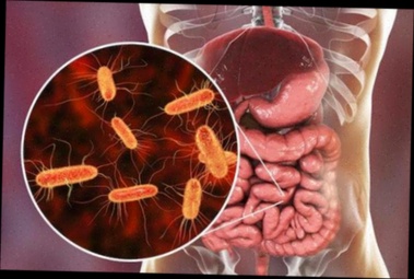 Acheter Biocanina Vermifuge