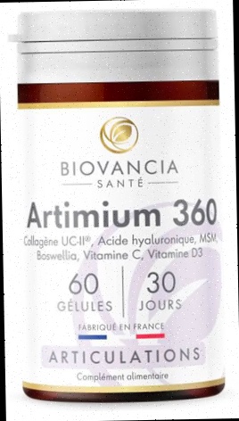 Artimium 360 pas cher
