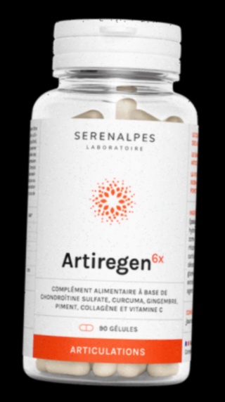 Achat Artiregen 6x