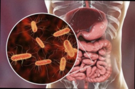Vermifuge sans ordonnance
